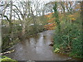 River Holme - Armitage Road