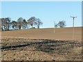 Wooden pylons crossing a bare field