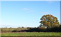 Countryside near Park Gate