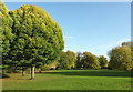 Muchall Park in Penn, Wolverhampton