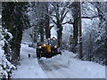 Taking the dog for a walk in the snow