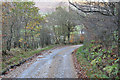 Minor road near Muirhead Farm