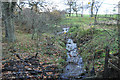 Small stream near Muirhead Farm