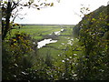 Salt marshes, Laugharne Township