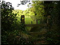 Stile on Lansker Borderlands Trail above Llangwm Farm