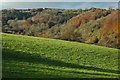 View to High Wood