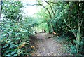 Bridleway in Croham Hurst