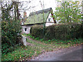 Thatched cottage in Upgate Street