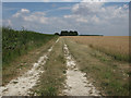 Footpath to Prince of Wales Wood