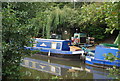 Narrowboats on the River Medway