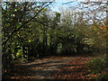 Footpath junction near Burham Downs