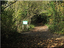 TQ7362 : Footpath and byway junction in Burham Downs by David Anstiss