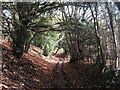 Footpath towards Blue Bell Hill