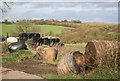 silage bales