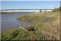 River Avon and Avonmouth Bridge