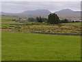 Fields near Trawsfynydd station