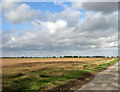 Cultivated field west of Common Road, Gissing