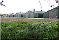 Poultry houses at Old Hall Farm, Mill Green