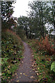 Footpath by White Cart Water