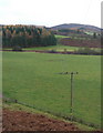 Electricity poles at Prosenhaugh