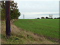 Field south of Stanford-le-Hope