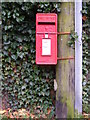 TM2952 : Spring Lane  George VI Postbox by Geographer
