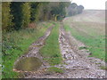 Footpath South of Crondall