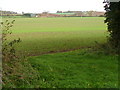 Fields Near Clare Farm