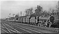 Up freight at Flitwick