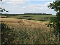 TL5854 : Part harvested field by Hugh Venables