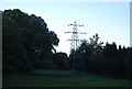 Pylon on the edge of Littleheath Wood