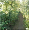 Footpath along railbed, Govilon