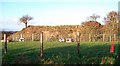 The Lismahon Motte alongside the A2 Blackstaff Road