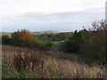 View from Petteril Valley Park