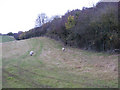 Embankment of dismantled railway, Ryeford