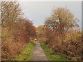 Devon Way footpath