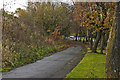 A good cycleway by Stanley Road