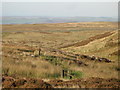 NY7458 : Line of grouse butts by Slatequarry Cleugh (2) by Mike Quinn