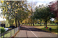 Path in Howard Park