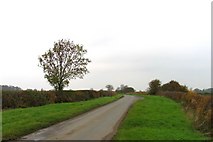 SK8021 : Towards Waltham on the Wolds by Andrew Tatlow
