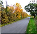 Woolsthorpe Lane southwards