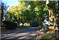 Reynolds Way - leafy suburbia