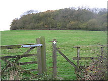 TR1437 : Stile near Perry Wood by David Anstiss