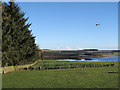 Fields descending towards Derwent Reservoir