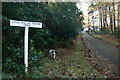 The avenue to Loch na Bo House