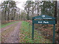 Forestry road in Ash Park