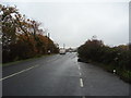 Biddenden Road, London Beach