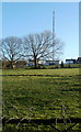 Trees and distant TV transmitter viewed from the A48