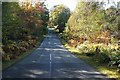 Road north of Gartmore