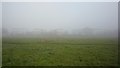 SE6150 : Wentworth college in mist by DS Pugh